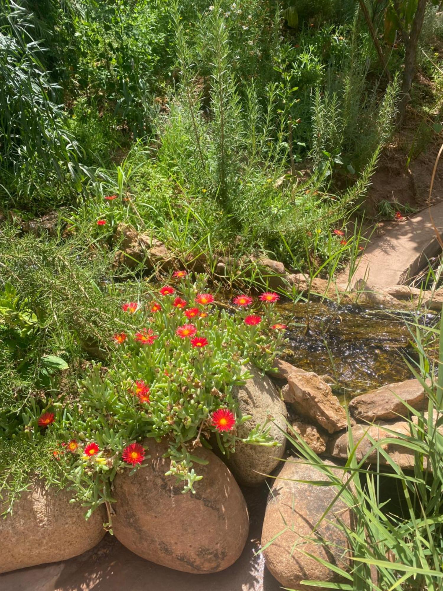 Jardin Sakina - Chambre D'Hotes Oulad Moumene Екстер'єр фото