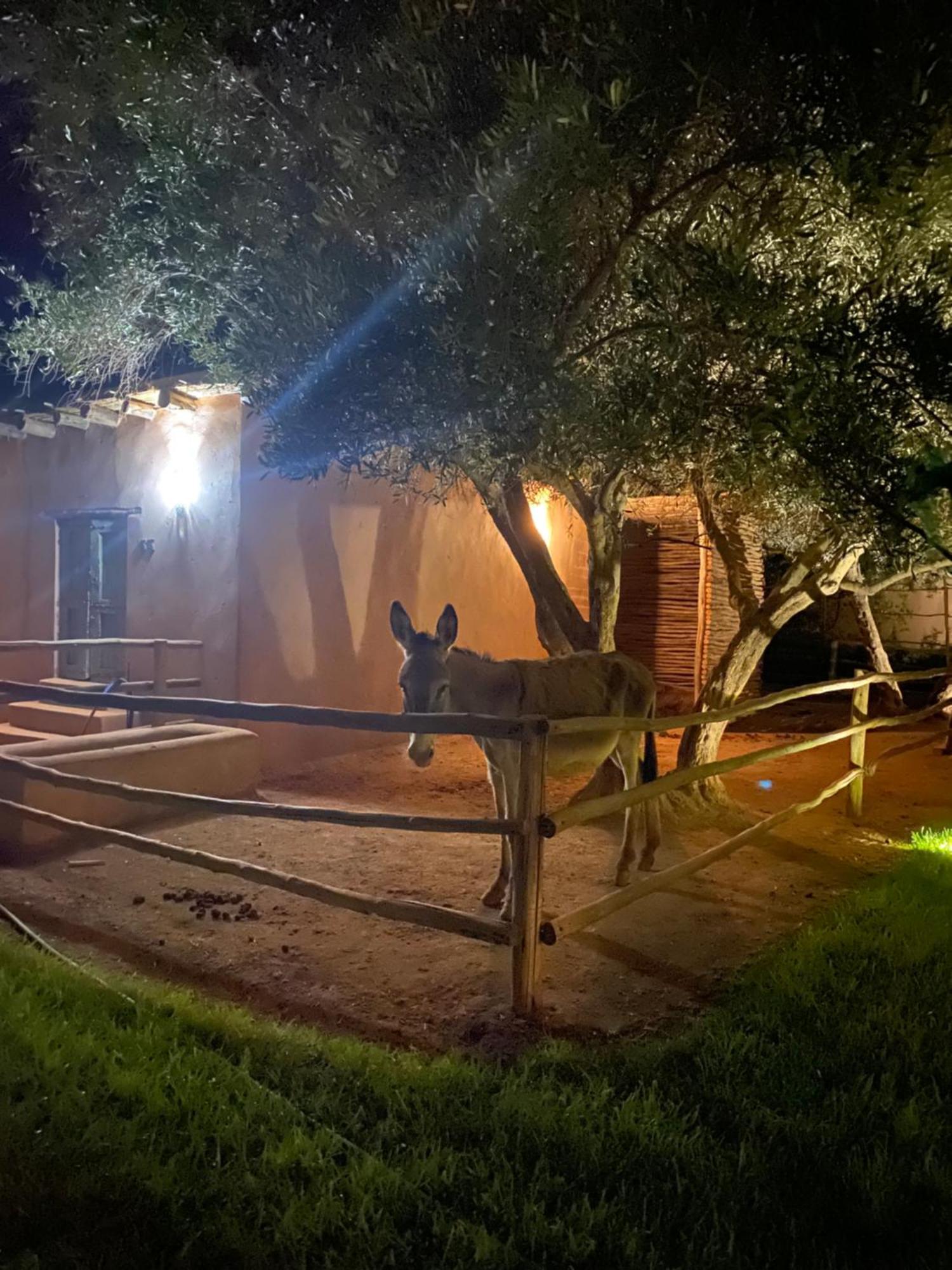 Jardin Sakina - Chambre D'Hotes Oulad Moumene Екстер'єр фото